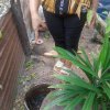 โครงการถังขยะเปียกลดโลกร้อน